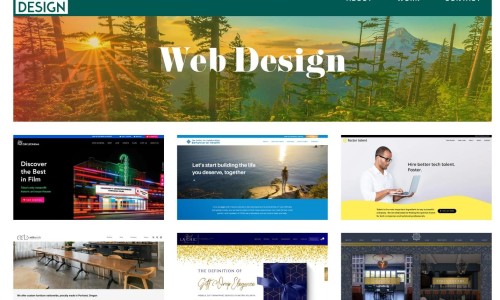 鱼鳔补肾丸说明书-【鱼鳔补肾丸】鱼鳔补肾丸禁忌什么 - 鱼鳔补肾丸禁忌网
